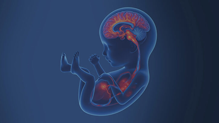 Diseño sin título – neurosonografía y ecocardiografía